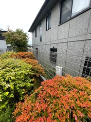 アルファーテックのリフォーム_お庭_施工後